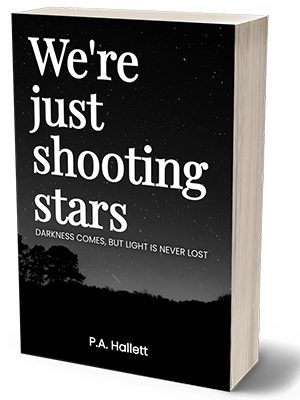 WWJS 3D cover white new 300 x 400