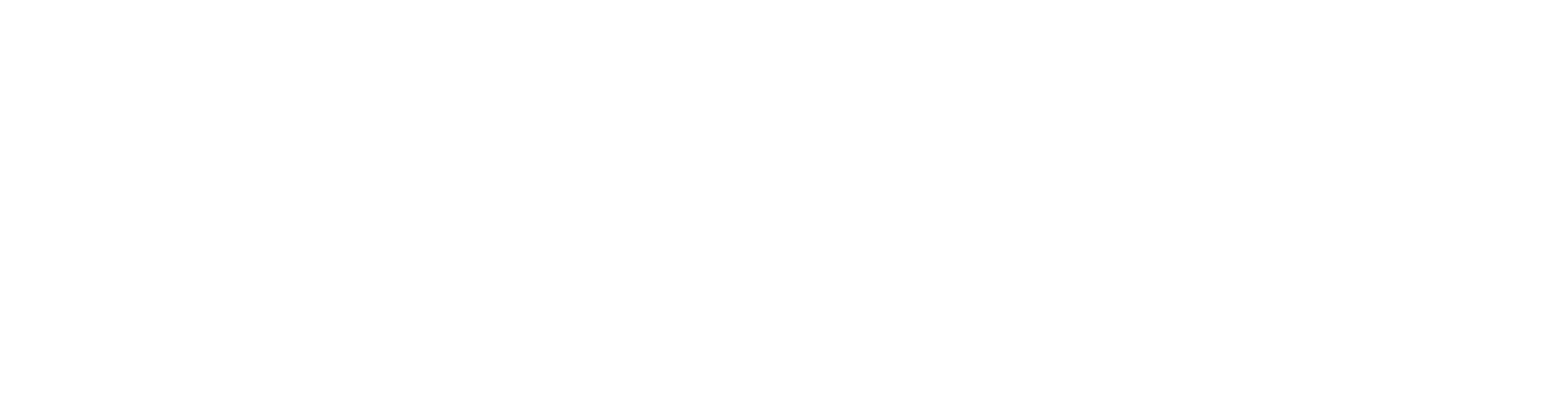 White logo - no background_1